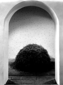 Hossein Golba "Scolpire il tempo IX" (non luoghi), 1996 Polistirolo, iuta, terra, germogli di grano, petali di rose cm. 150 x 150 di diametro Fattoria di Celle, Santomato (PT) 