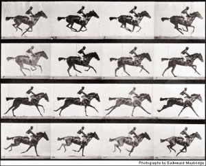 Muybridge "Galloping Horse" 1878 Immagine presa da http://digitaljournalist.org/issue0309/lm20.html